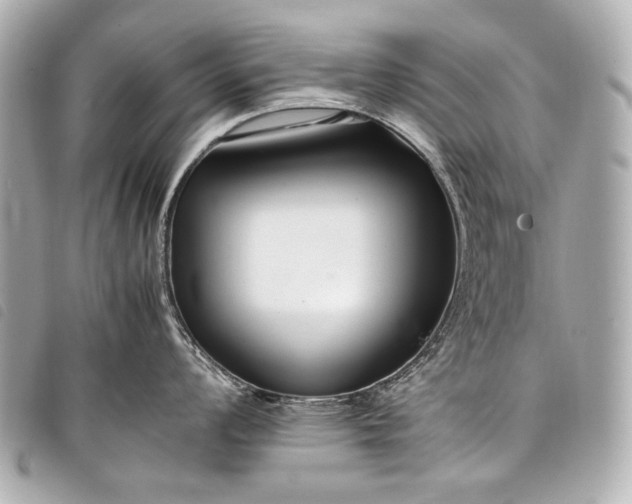 X0000098081008200804181154