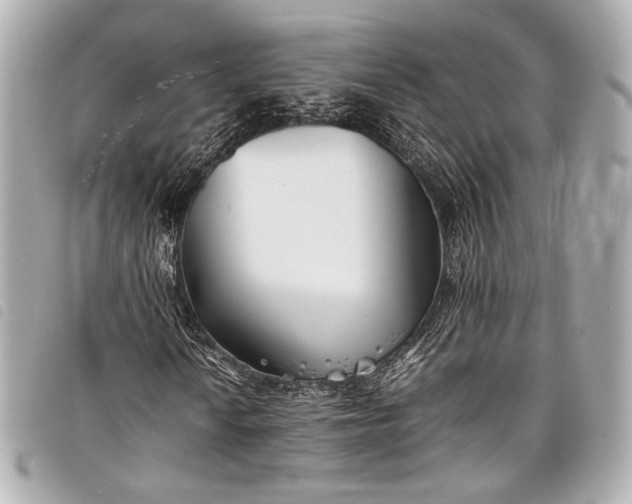 X0000098081010200804181153