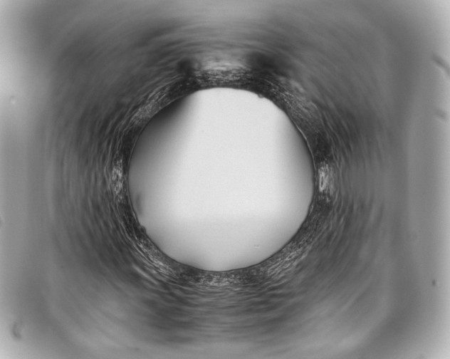 X0000098081011200804181153