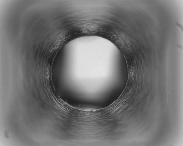 X0000098081012200804181153