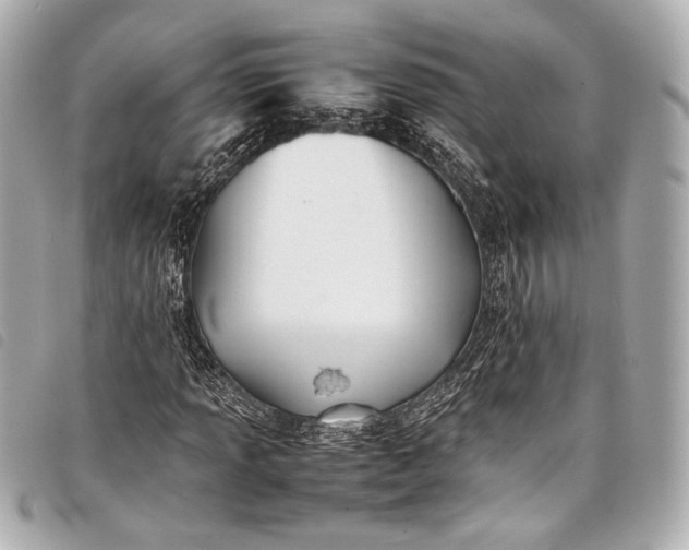 X0000098081013200804181153