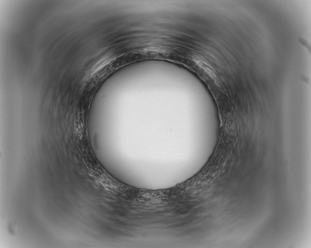 X0000098081015200804181153