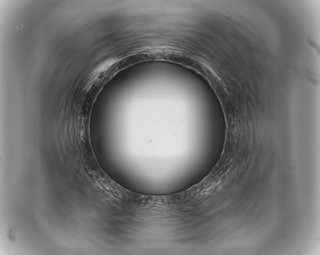 X0000098081016200804181153