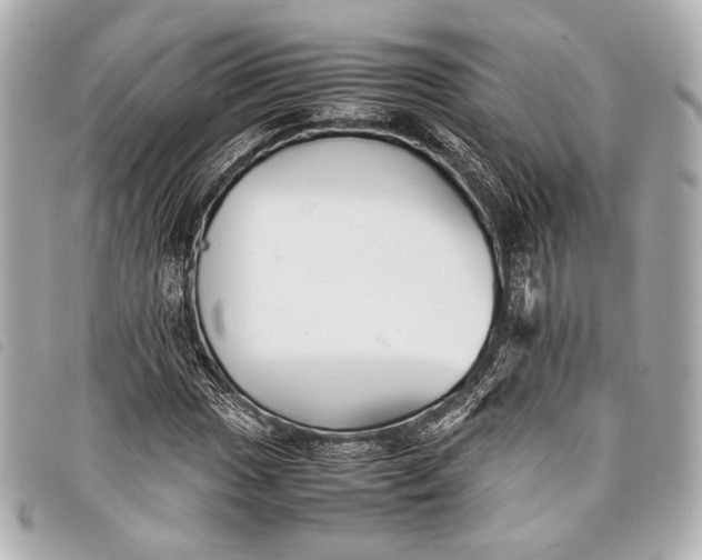 X0000098081017200804181153