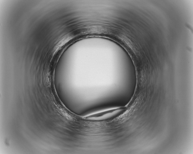 X0000098081018200804181153