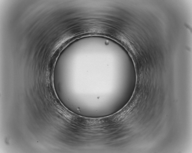 X0000098081019200804181153