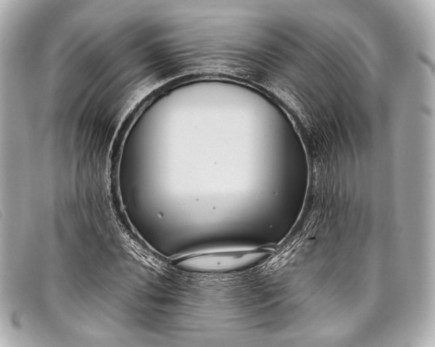 X0000098081020200804181153