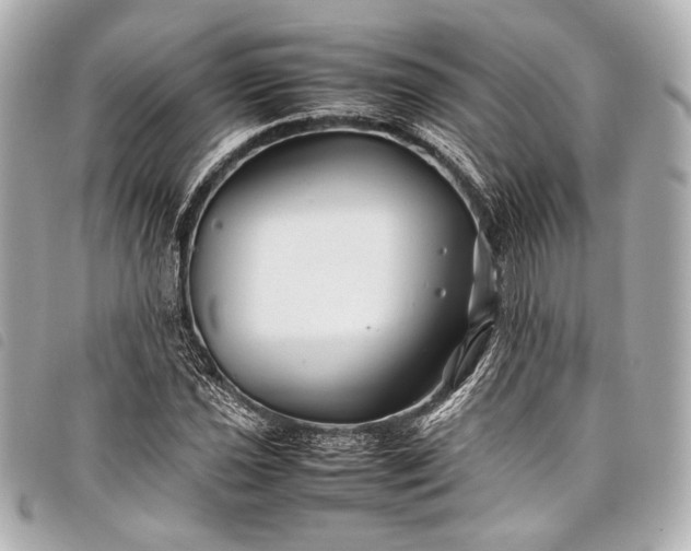 X0000098081021200804181153