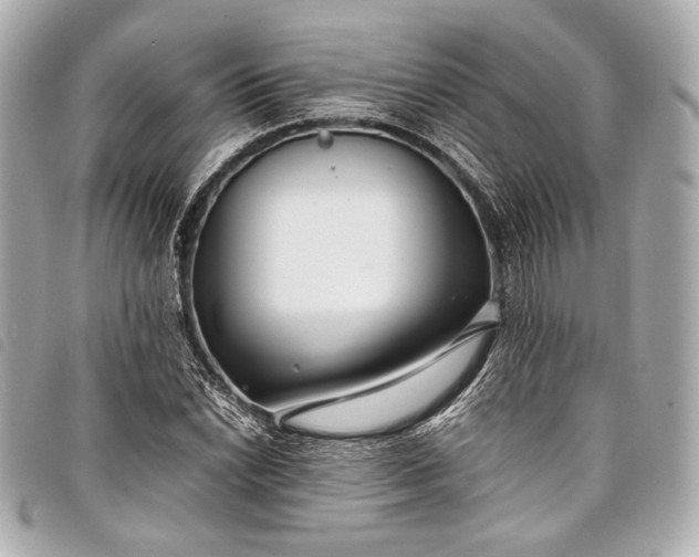 X0000098081022200804181153