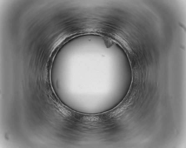 X0000098081023200804181153