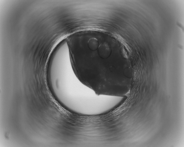 X0000098081024200804181153