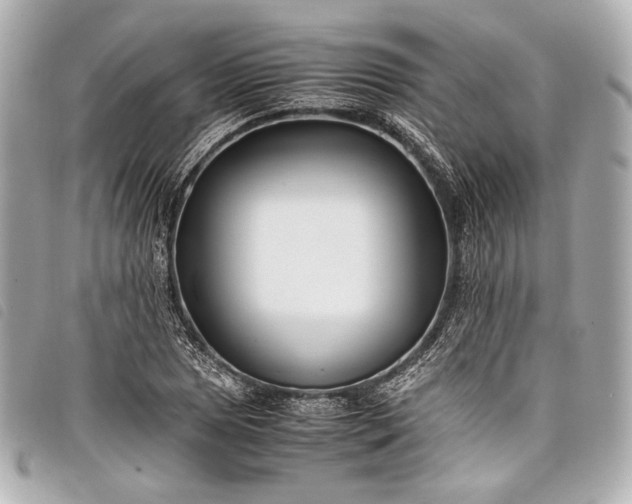 X0000098081025200804181153