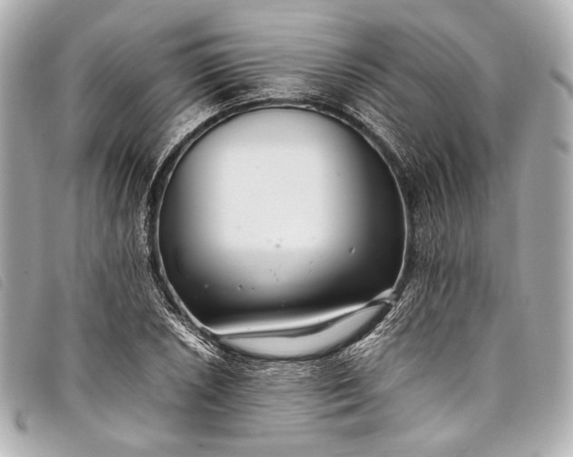 X0000098081026200804181153