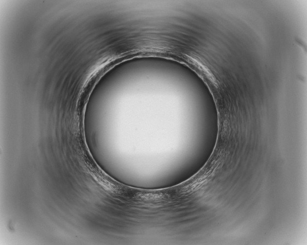 X0000098081027200804181153