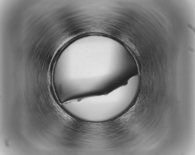 X0000098081028200804181153