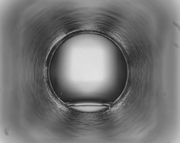 X0000098081029200804181153