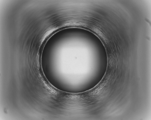 X0000098081030200804181153