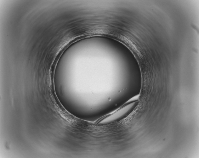 X0000098081031200804181153