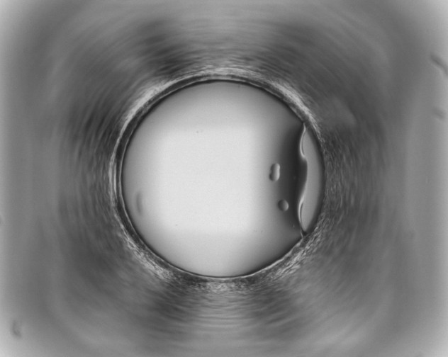 X0000098081032200804181153