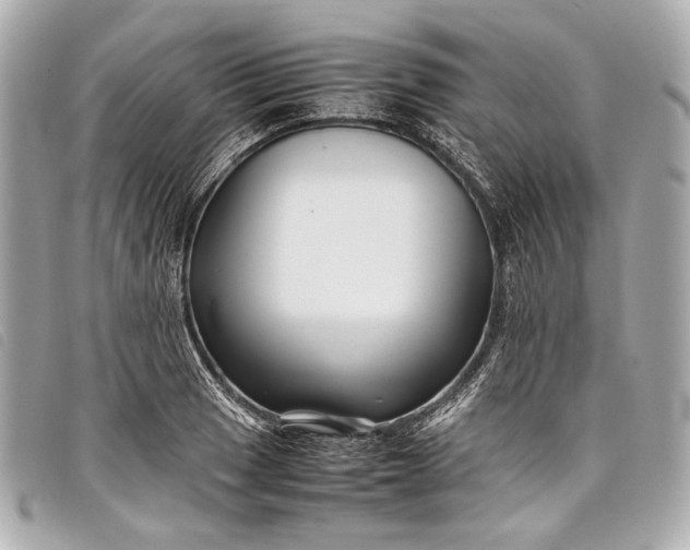 X0000098081033200804181153