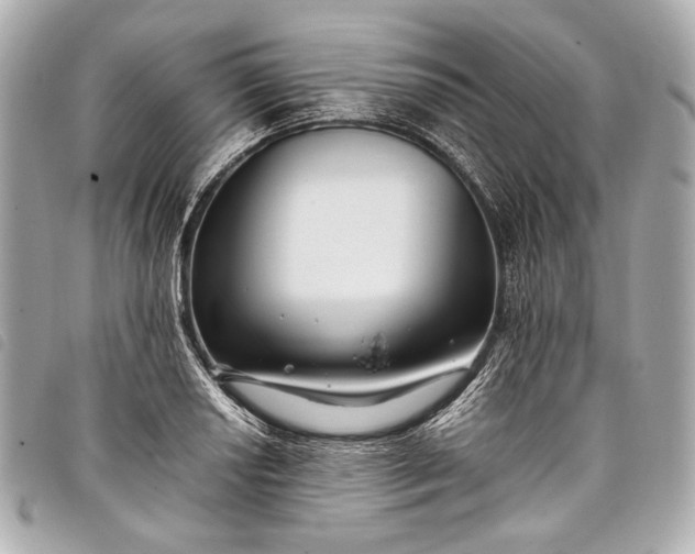 X0000098081034200804181153