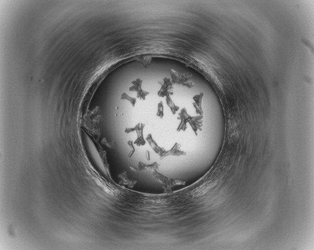 X0000098081035200804181153