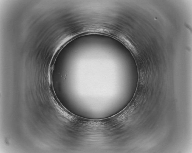 X0000098081036200804181153