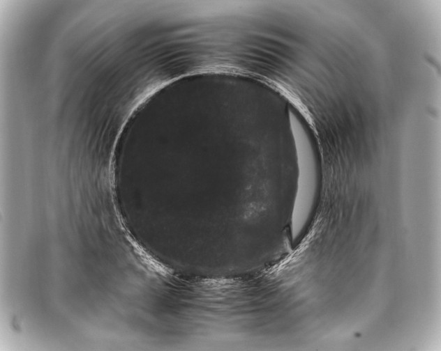 X0000098081037200804181153