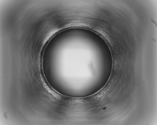 X0000098081038200804181153