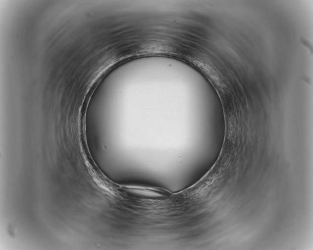 X0000098081039200804181153