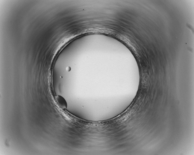 X0000098081040200804181153