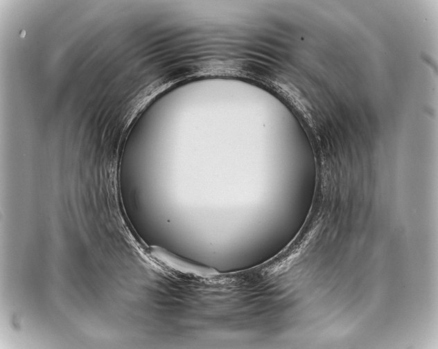 X0000098081041200804181153