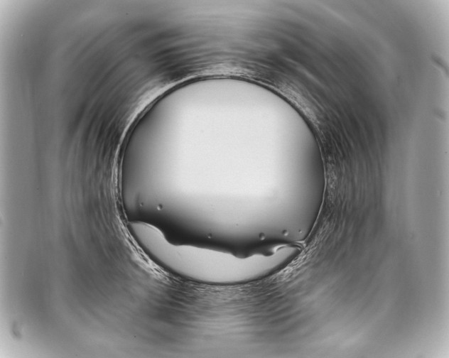 X0000098081044200804181154