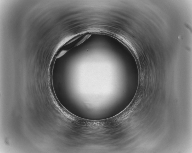 X0000098081045200804181154