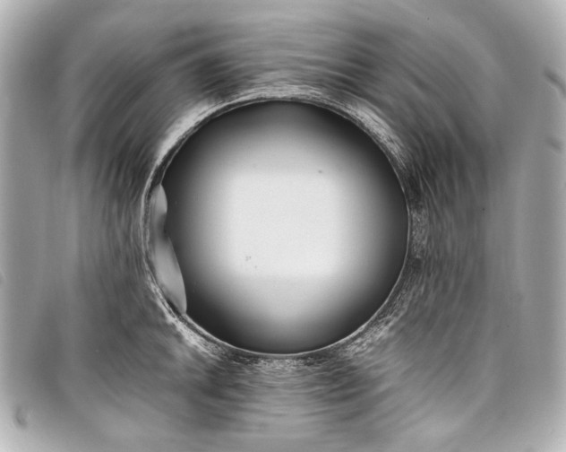 X0000098081046200804181154