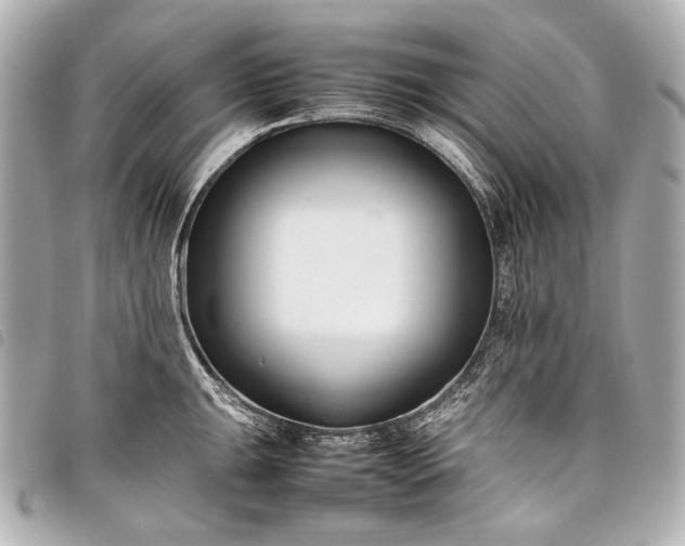 X0000098081047200804181154