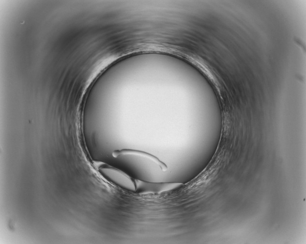 X0000098081048200804181154