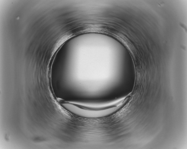 X0000098081050200804181154