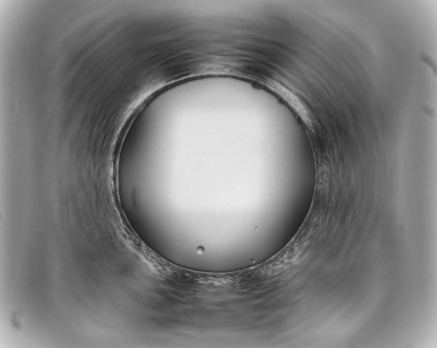 X0000098081051200804181154