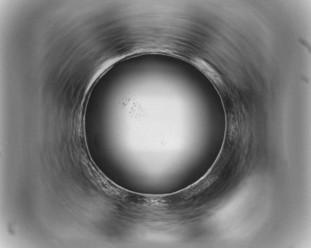 X0000098081052200804181154