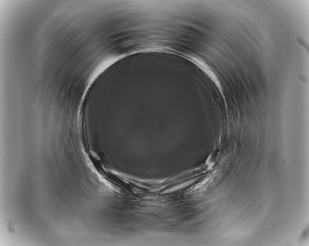 X0000098081053200804181154