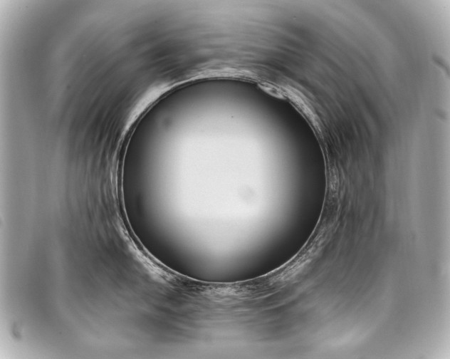 X0000098081054200804181154