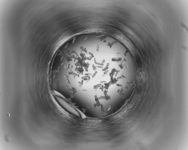 X0000098081055200804181154