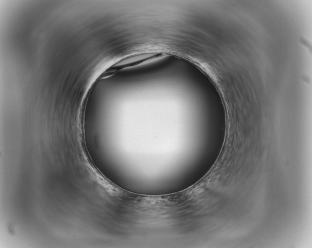 X0000098081056200804181154