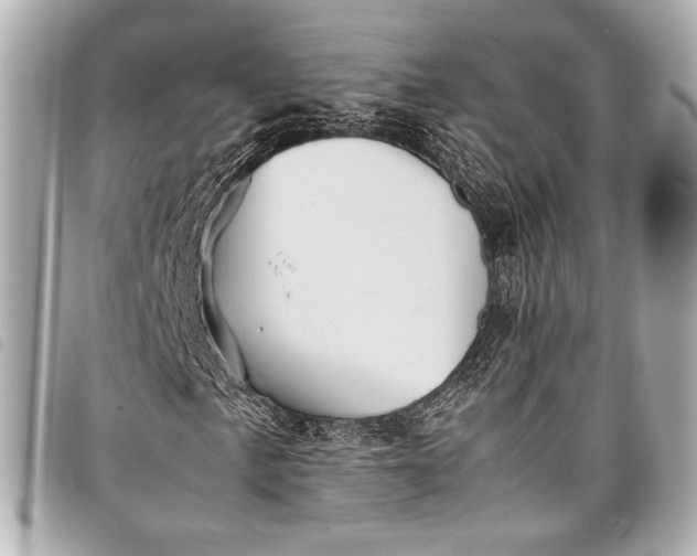 X0000098081057200804181153