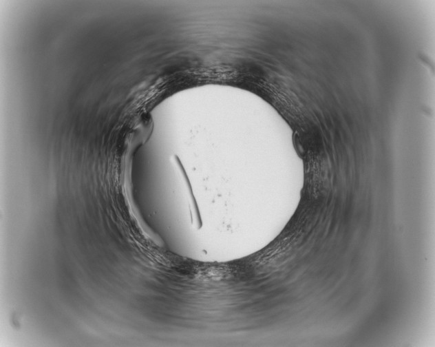 X0000098081058200804181153