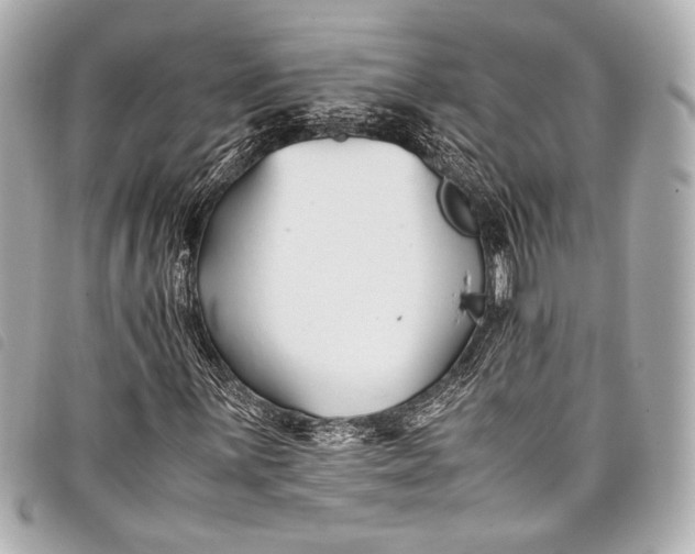 X0000098081059200804181153