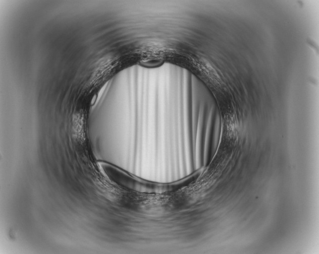 X0000098081060200804181153