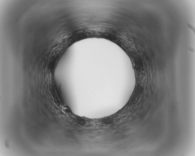 X0000098081061200804181153