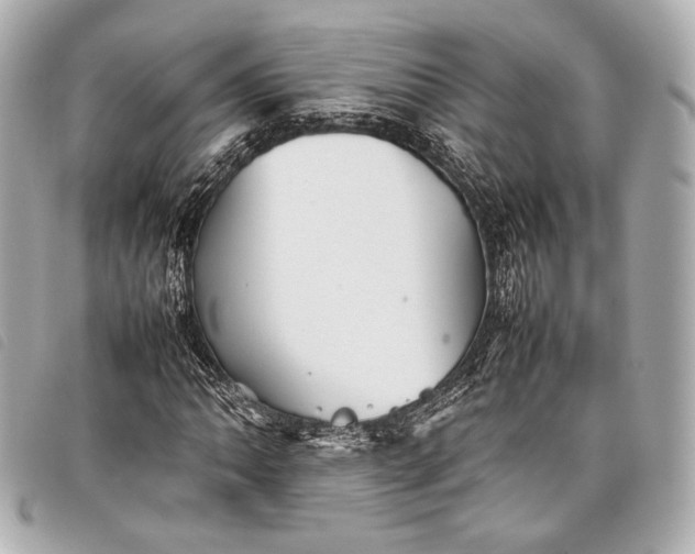 X0000098081062200804181153